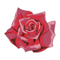 Garden Roses Flowers