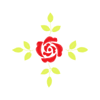 Garden Roses Flowers