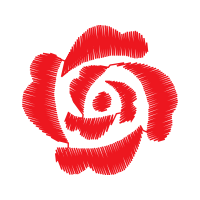 Garden Roses Flowers