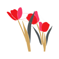 Garden Roses Flowers