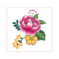 Garden Roses Flowers Garden Roses Flowers