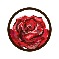 Garden Roses Flowers