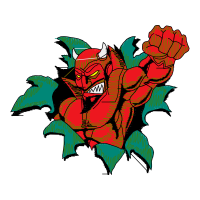 Garden Roses Flowers Garden Roses Flowers