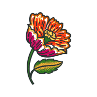 Garden Roses Flowers