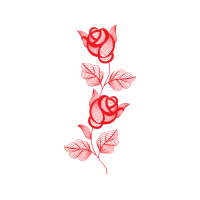 Garden Roses Flowers Garden Roses Flowers