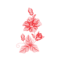 Garden Roses Flowers Garden Roses Flowers