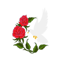 Garden Roses Flowers Garden Roses Flowers