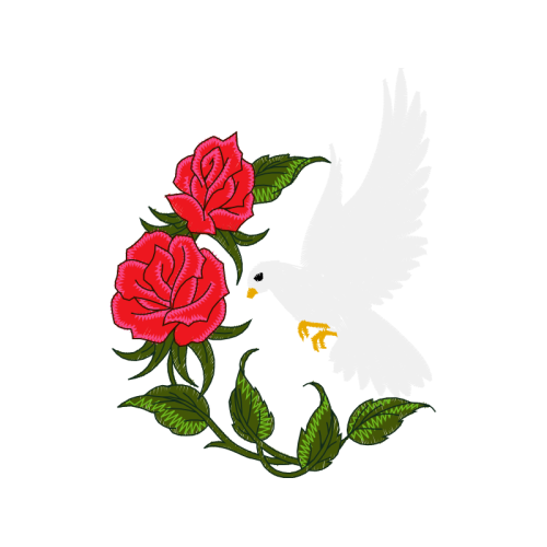 Garden Roses Flowers Garden Roses Flowers