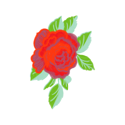 Garden Roses Flowers Garden Roses Flowers