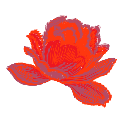 Garden Roses Flowers Garden Roses Flowers