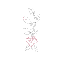 Garden Roses Flowers Garden Roses Flowers