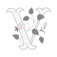 Garden Roses Flowers Garden Roses Flowers