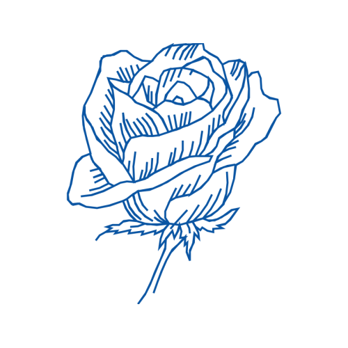 Garden Roses Flowers Garden Roses Flowers