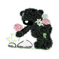 Garden Roses Flowers Garden Roses Flowers