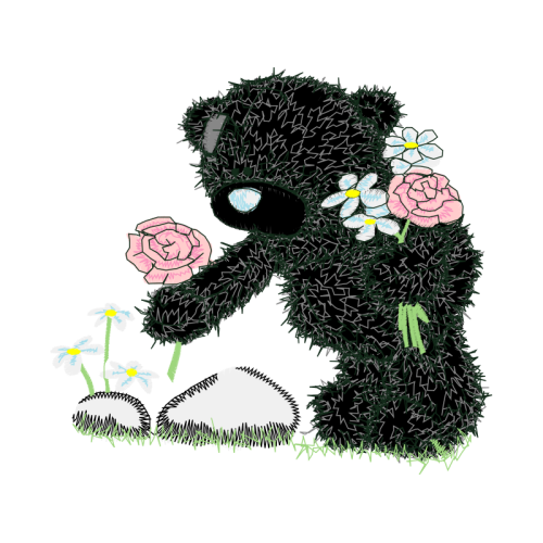 Garden Roses Flowers Garden Roses Flowers