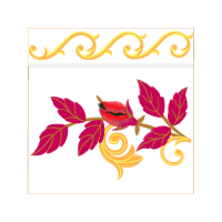 Garden Roses Flowers Garden Roses Flowers