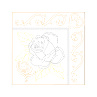 Garden Roses Flowers