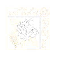 Garden Roses Flowers