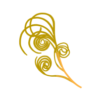 Garden Roses Flowers