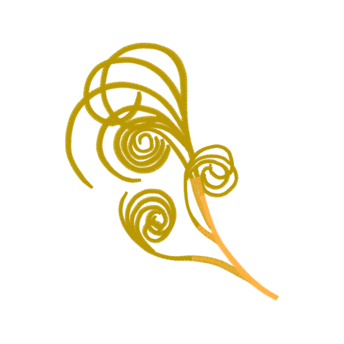 Garden Roses Flowers Garden Roses Flowers