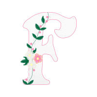 Garden Roses Flowers Garden Roses Flowers