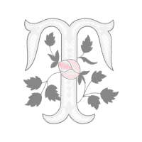 Garden Roses Flowers Garden Roses Flowers