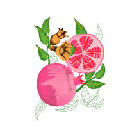 Garden Roses Flowers Garden Roses Flowers