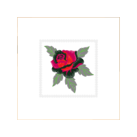 Garden Roses Flowers Garden Roses Flowers