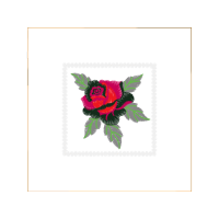 Garden Roses Flowers