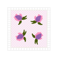 Garden Roses Flowers Garden Roses Flowers