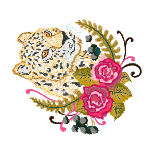 Garden Roses Flowers Garden Roses Flowers