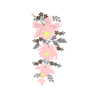 Garden Roses Flowers Garden Roses Flowers