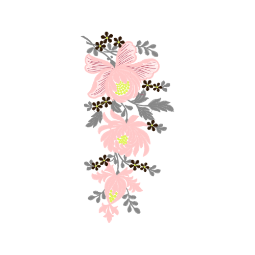 Garden Roses Flowers Garden Roses Flowers