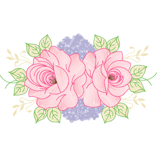 Garden Roses Flowers Garden Roses Flowers