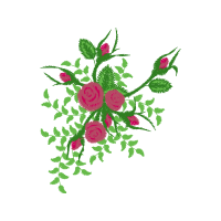 Garden Roses Flowers