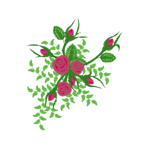 Garden Roses Flowers Garden Roses Flowers