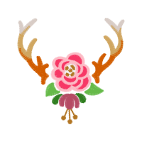 Garden Roses Flowers Garden Roses Flowers