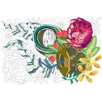 Garden Roses Flowers