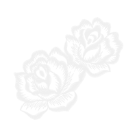 Garden Roses Flowers