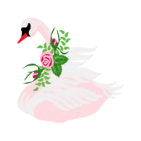 Garden Roses Flowers