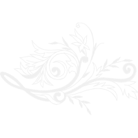 Garden Roses Flowers