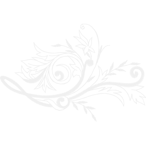 Garden Roses Flowers Garden Roses Flowers