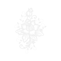 Garden Roses Flowers Garden Roses Flowers