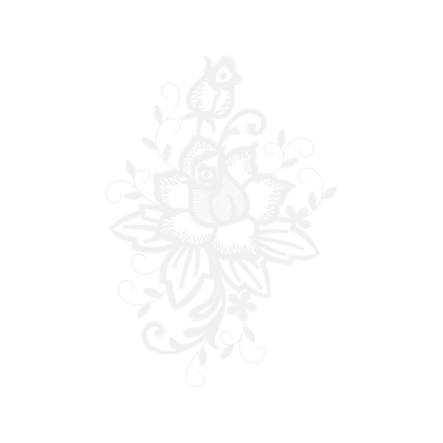 Garden Roses Flowers Garden Roses Flowers