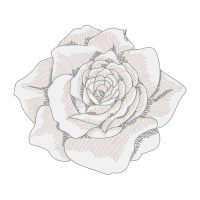 Garden Roses Flowers