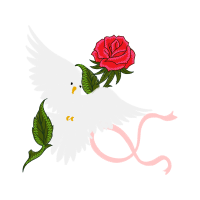 Garden Roses Flowers Garden Roses Flowers