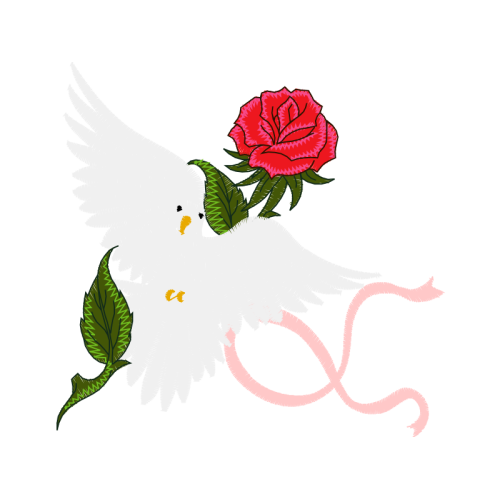 Garden Roses Flowers Garden Roses Flowers