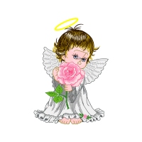 Garden Roses Flowers