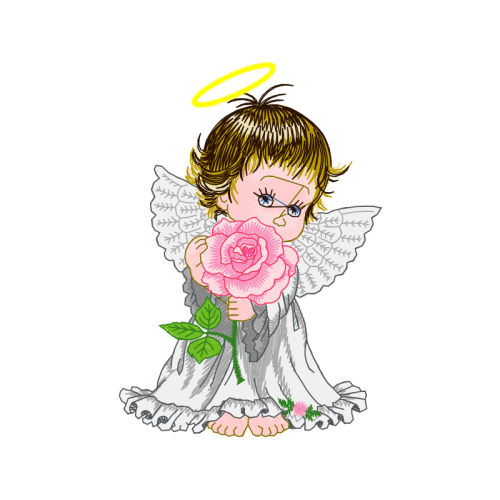 Garden Roses Flowers Garden Roses Flowers