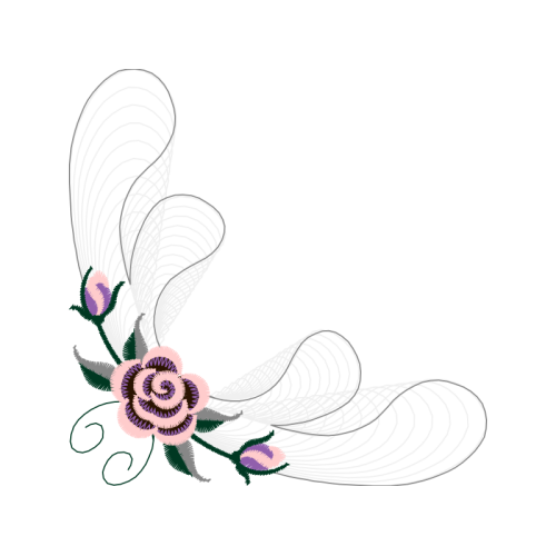 Garden Roses Flowers Garden Roses Flowers